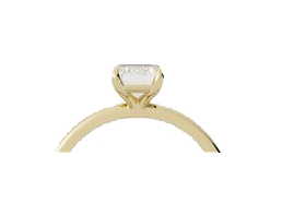 Image for choice number 1